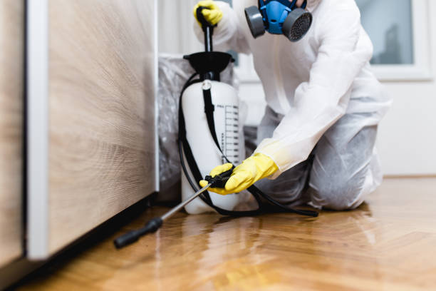 Best Cockroach Control Services  in Eerlin, ND