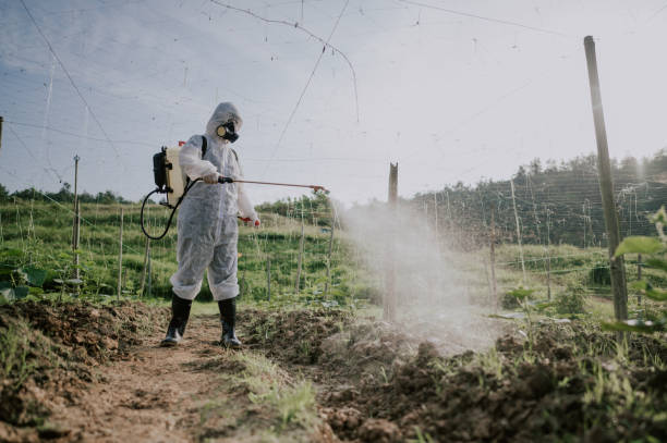 Best Mosquito Control Services  in Eerlin, ND