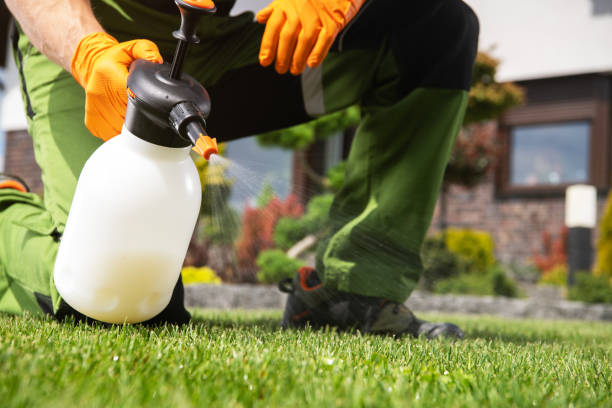 Best Flea Control Services  in Eerlin, ND