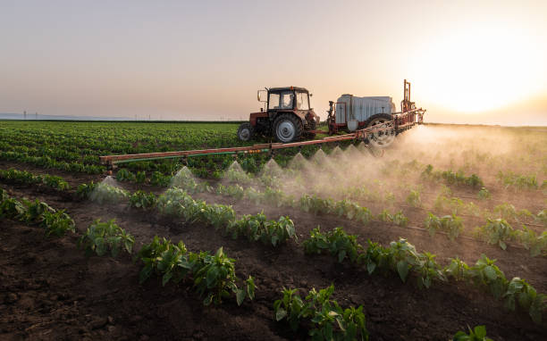 Best Ant Control Services  in Eerlin, ND