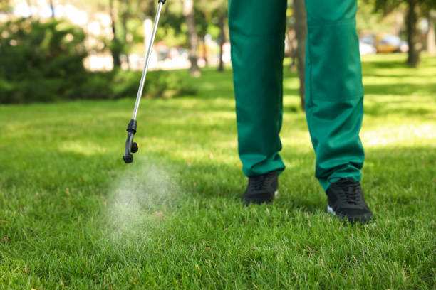 Best Emergency Pest Control  in Eerlin, ND