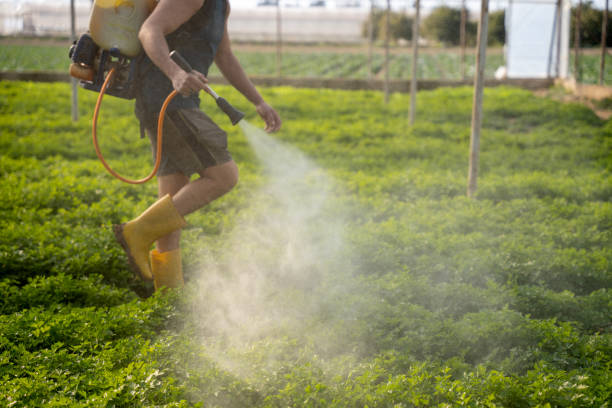 Best Pest Control for Businesses  in Eerlin, ND