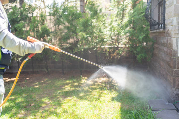 Best Bed Bug Extermination  in Eerlin, ND