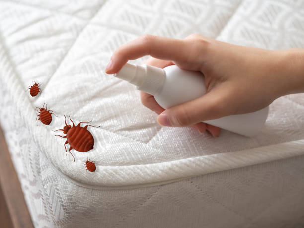 Best Affordable Pest Control Services  in Eerlin, ND