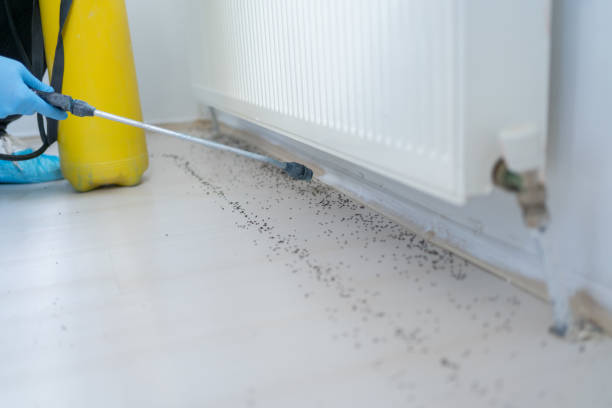 Best Wildlife Control Services  in Eerlin, ND