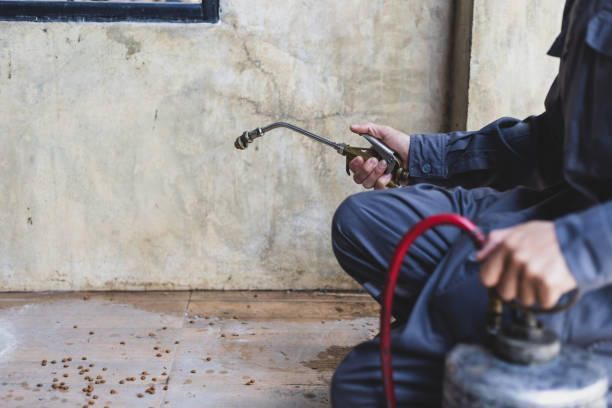 Best Residential Pest Control  in Eerlin, ND