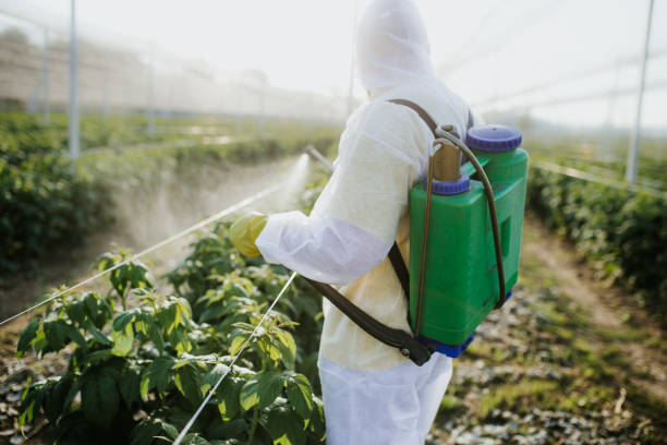 Best Best Pest Control Companies  in Eerlin, ND